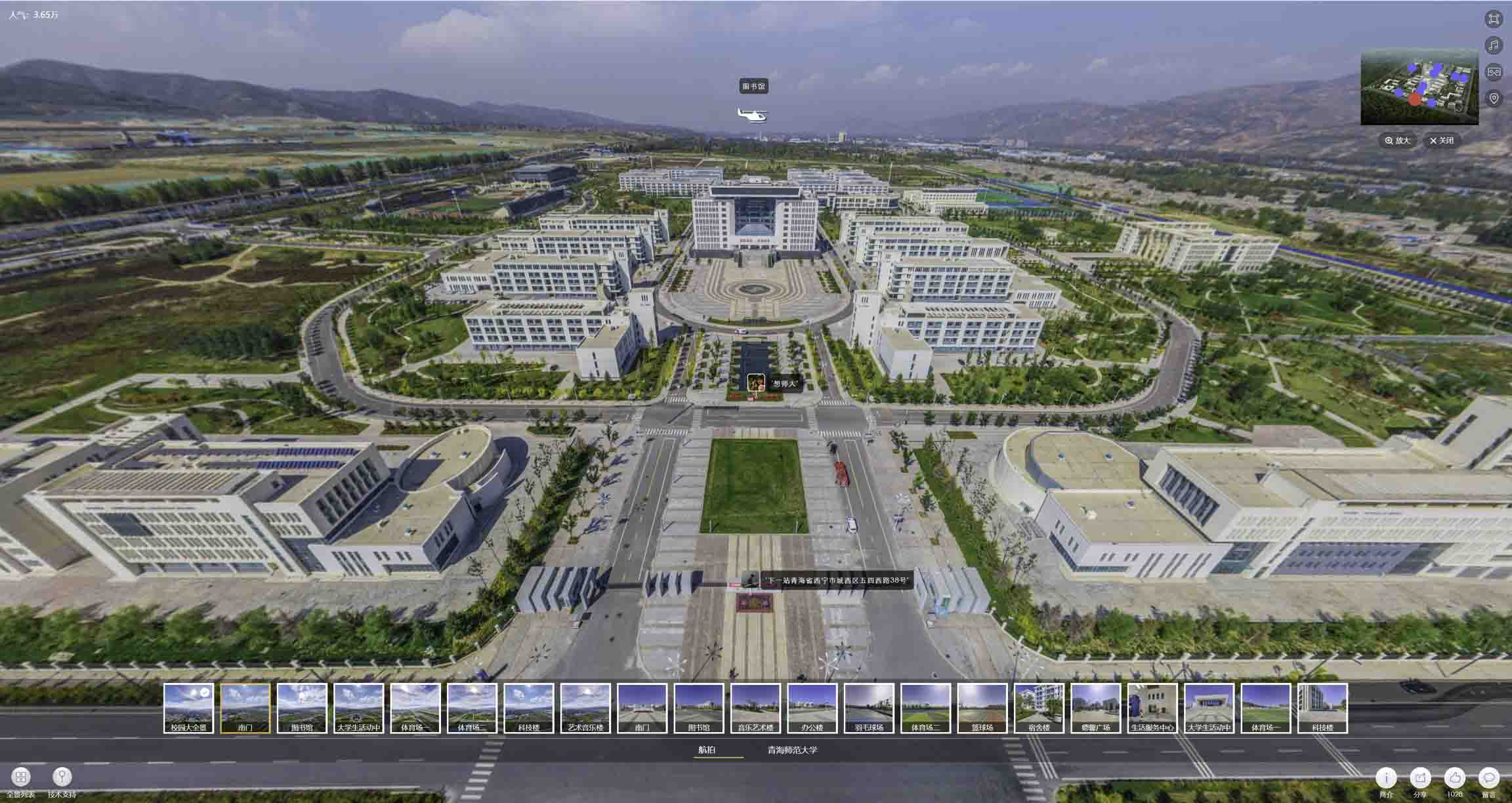 嵊泗油菜花-惊艳半生的花海仙境